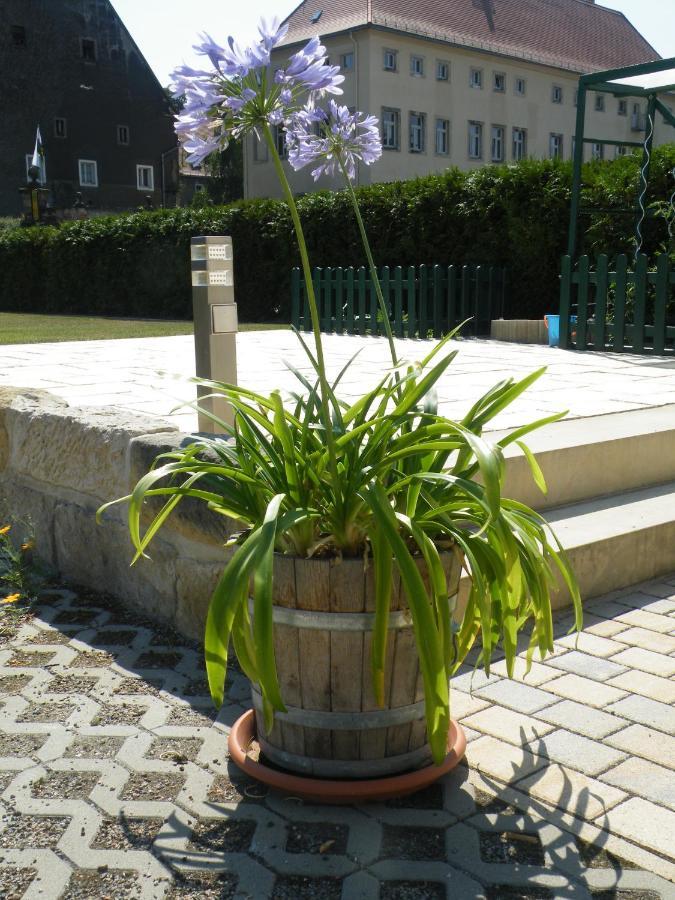 Kaitzbach-Idylle Dresden Exterior foto