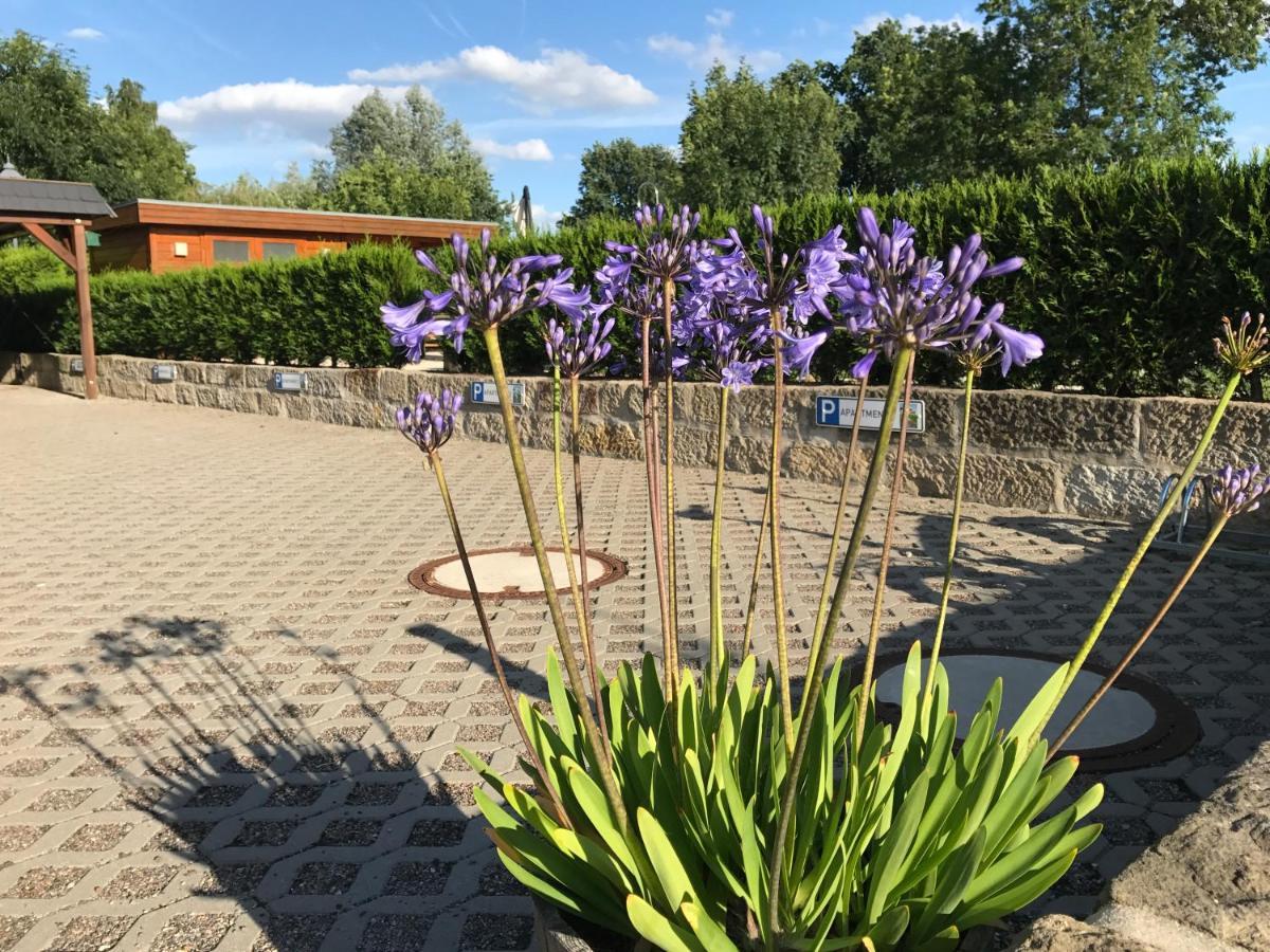 Kaitzbach-Idylle Dresden Exterior foto